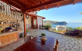 Stefanel View